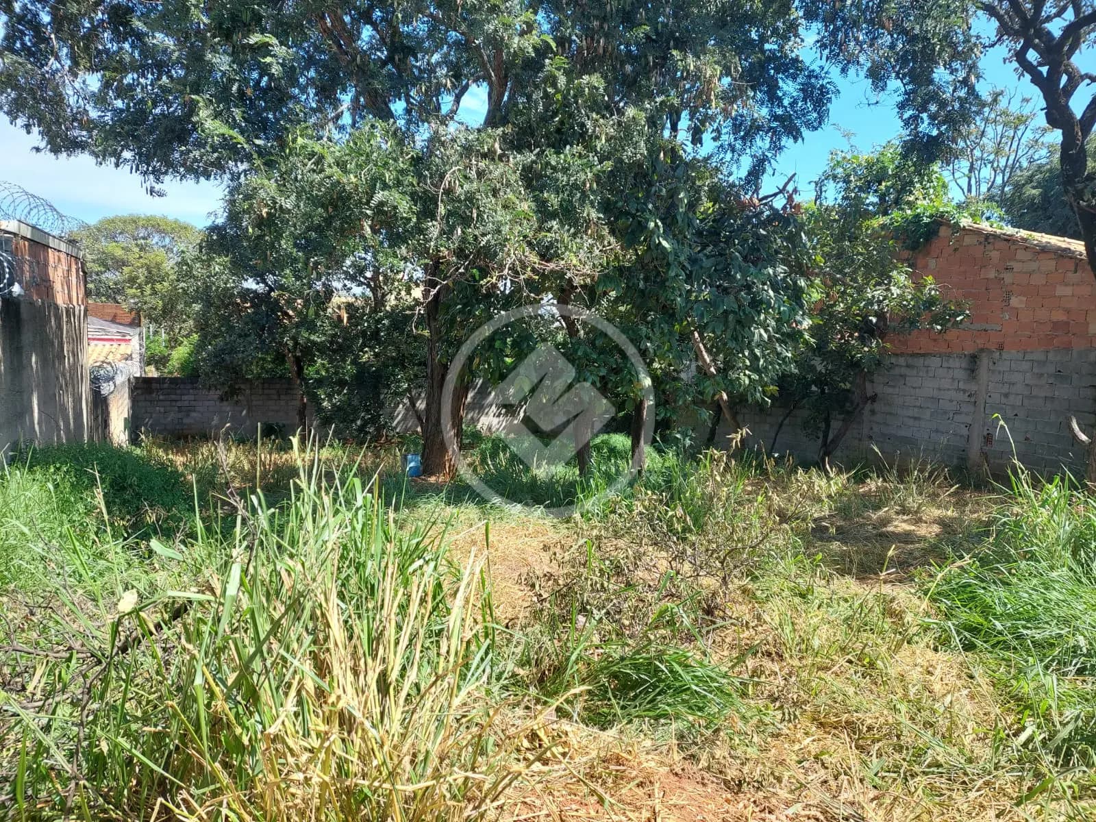 Terreno no Lundcea, Lagoa Santa — foto 4 de 6