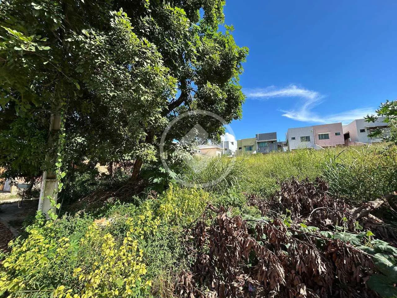 Terreno no Residencial Visão, Lagoa Santa — foto 3 de 6