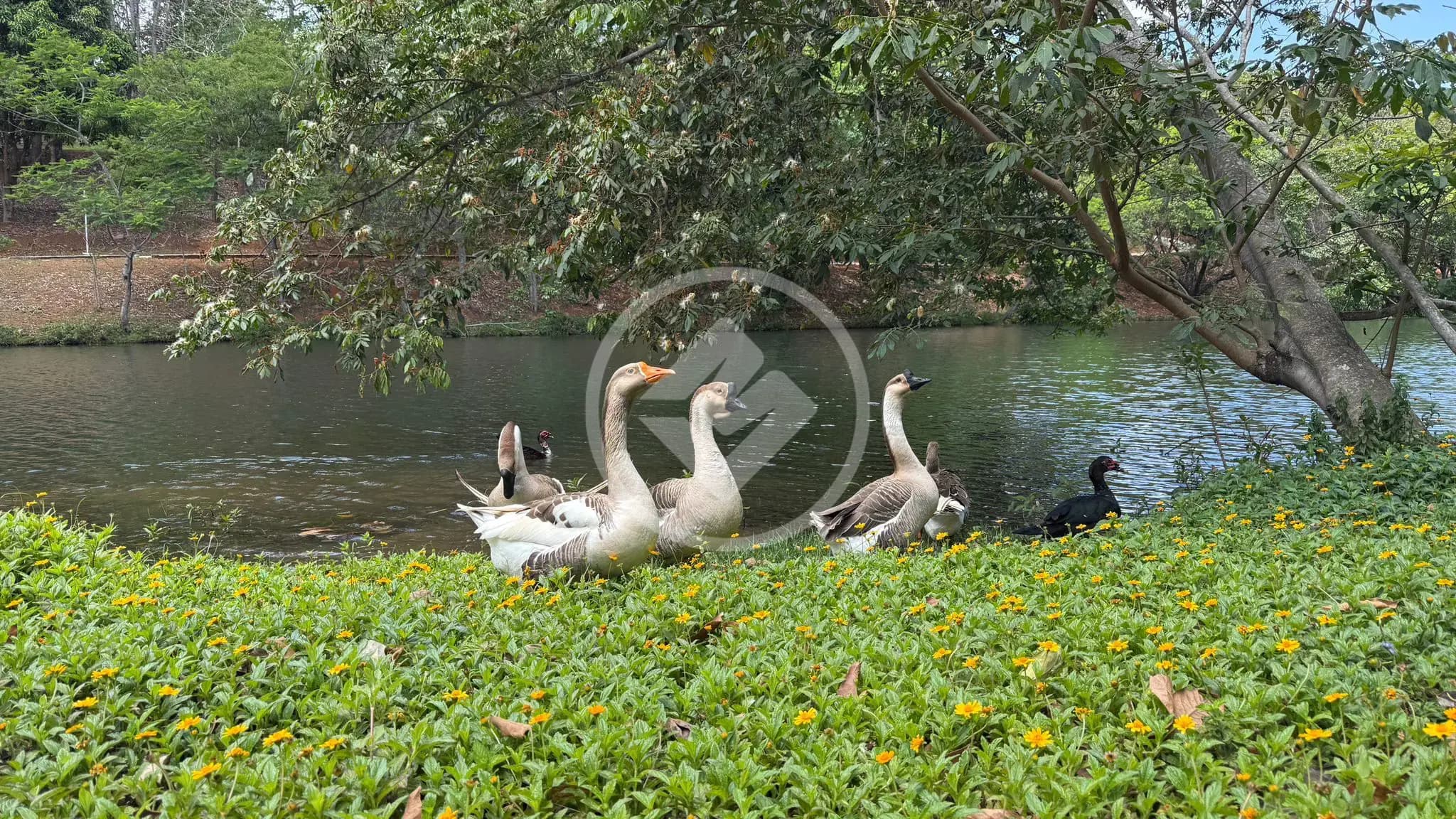 Terreno Condomínio no Condados da Lagoa, Lagoa Santa — foto 5 de 6