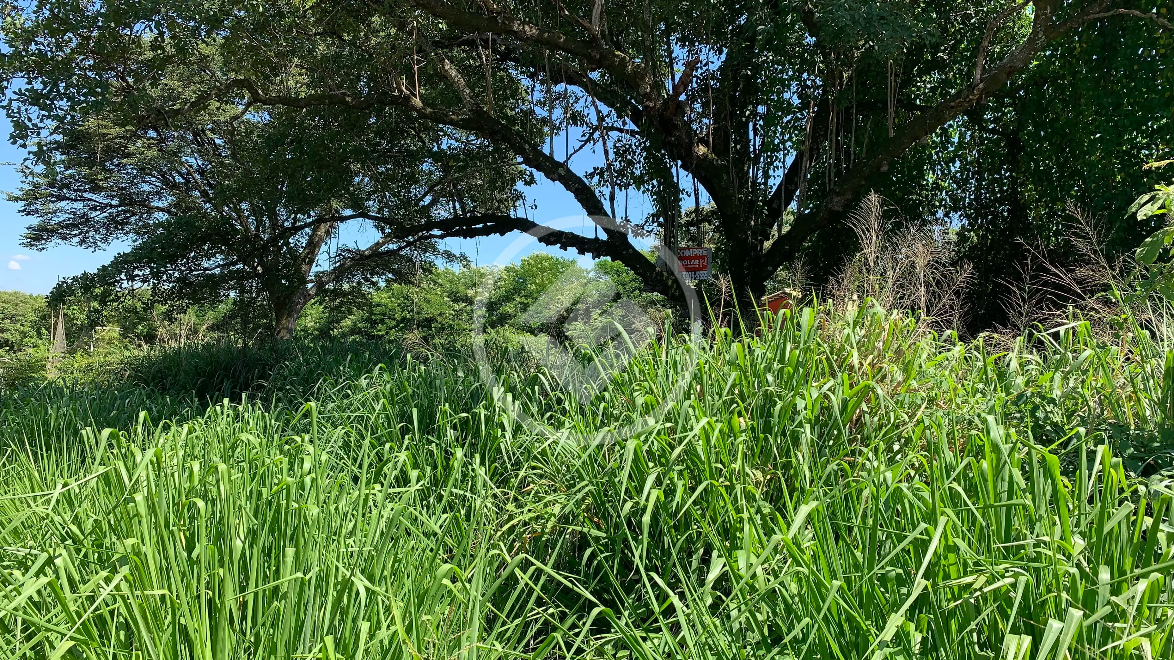 Terreno Condomínio no Angicos, Vespasiano — foto 4 de 5