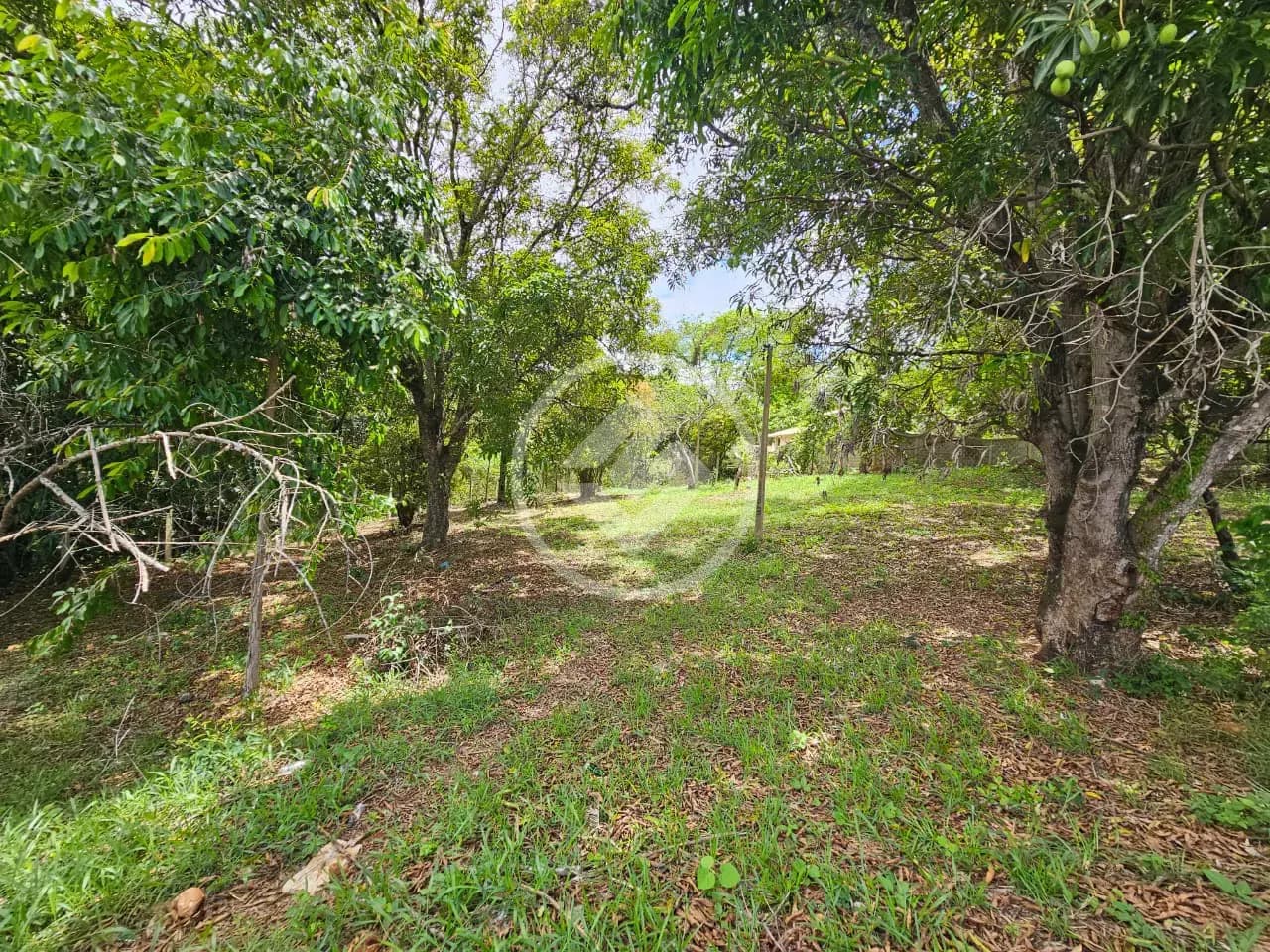 Terreno Comercial no Residencial Riviera, Lagoa Santa — foto 6 de 6
