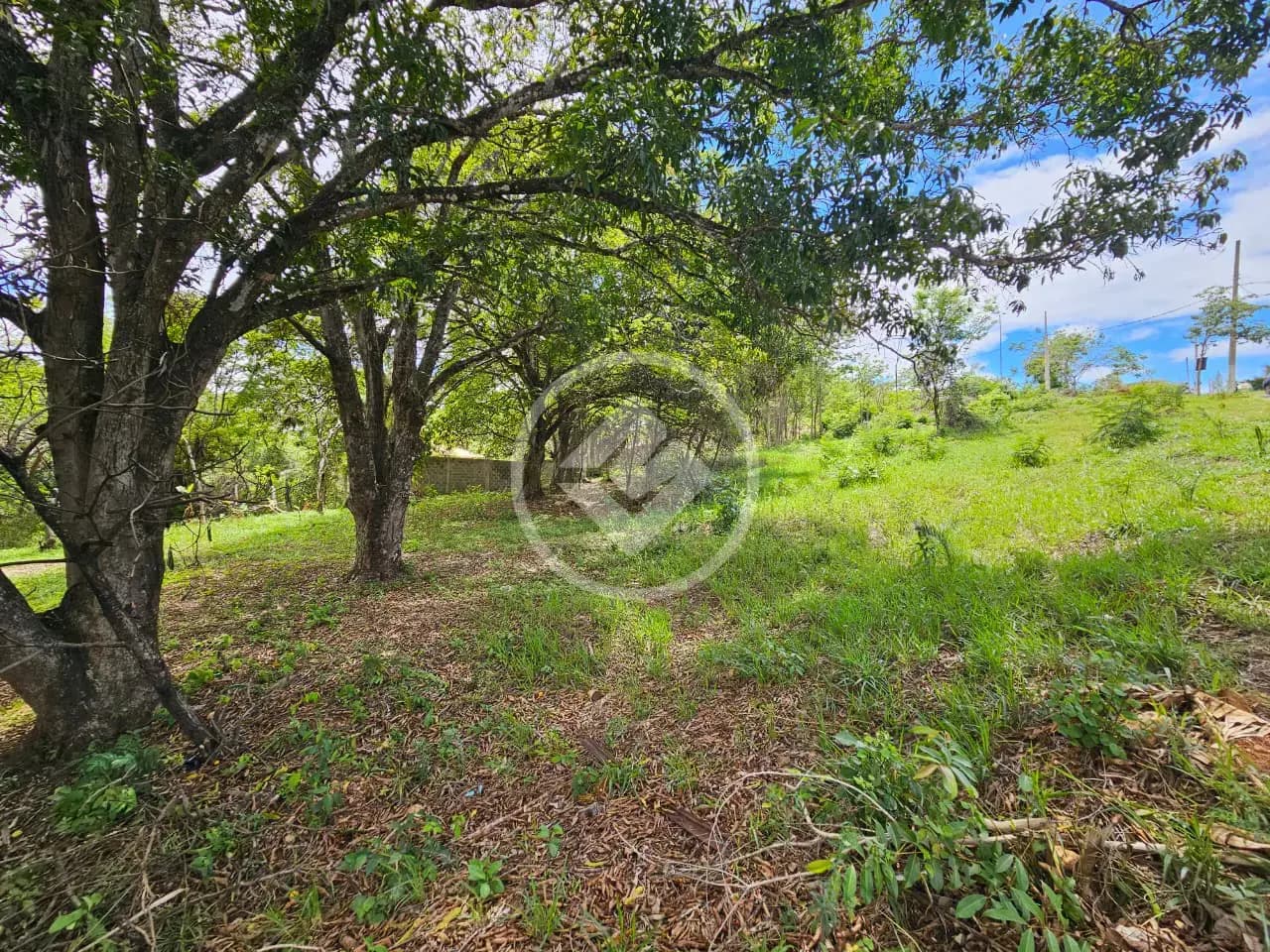 Lote Comercial Residencial Riviera