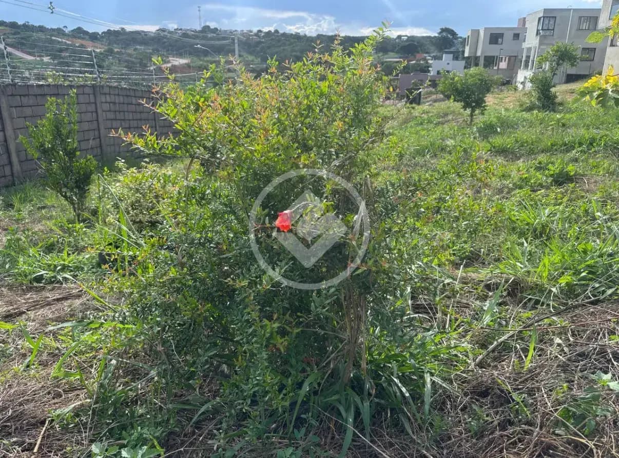 Terreno Condomínio no Champagne, Lagoa Santa — foto 4 de 6