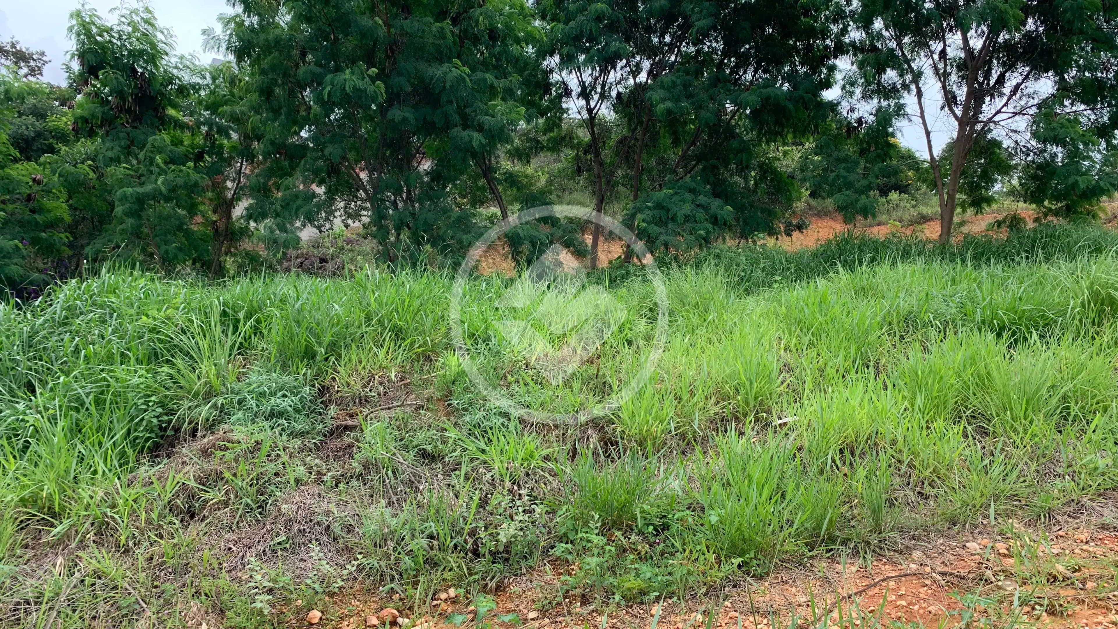 Terreno no Lagoinha de Fora, Lagoa Santa — foto 5 de 6