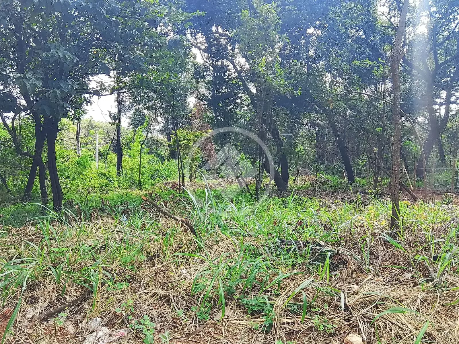 Terreno no Jardim Ipê, Lagoa Santa — foto 4 de 6
