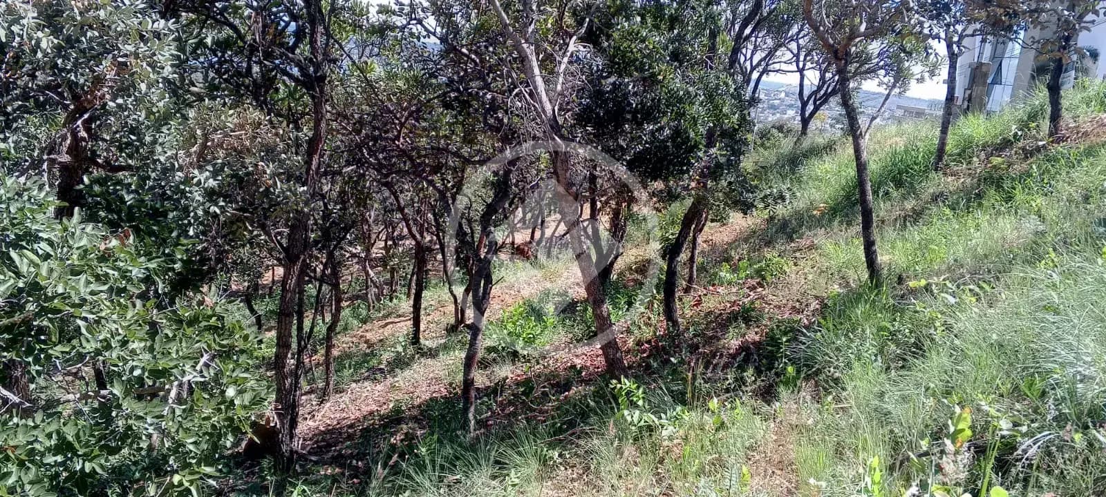 Terreno Condomínio no Residencial Boulevard, Lagoa Santa — foto 3 de 6