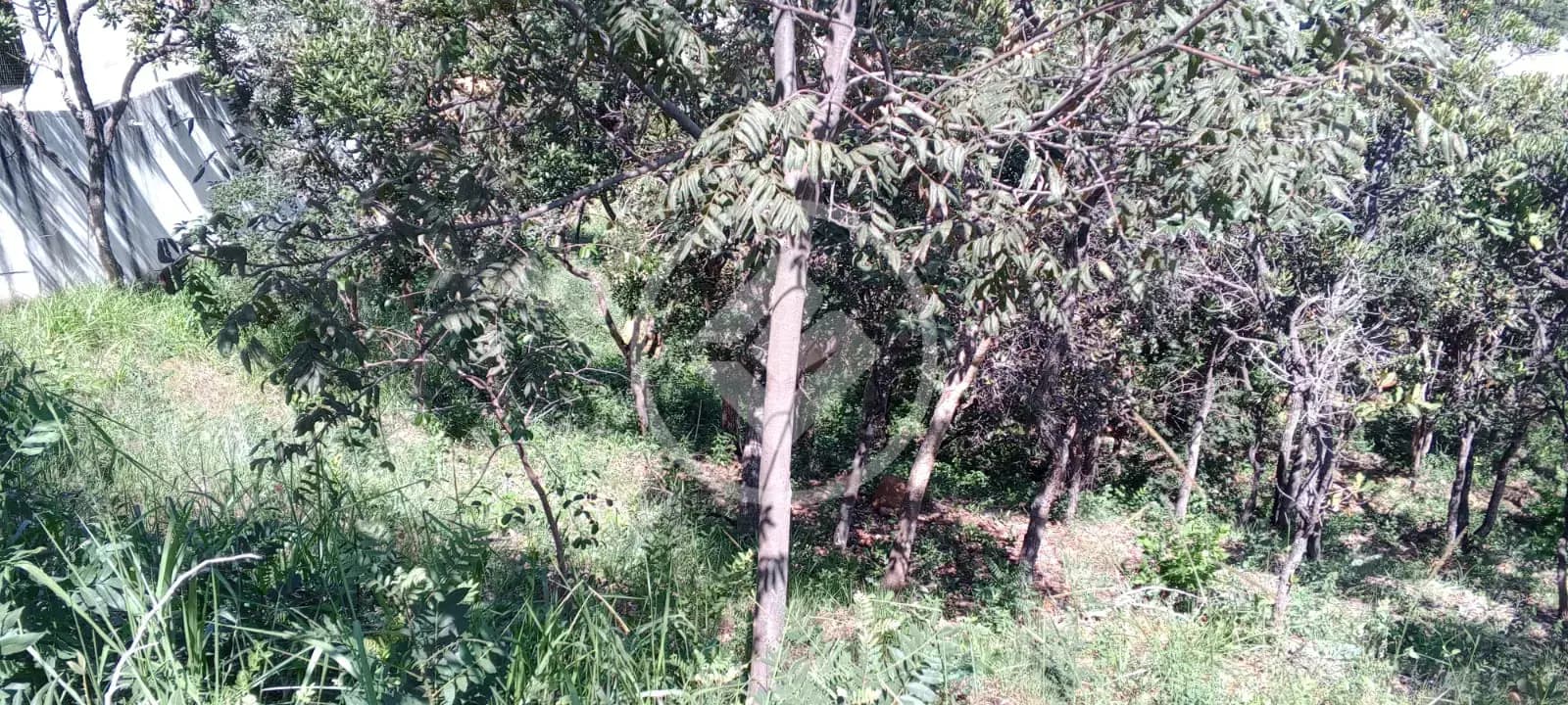 Terreno Condomínio no Residencial Boulevard, Lagoa Santa — foto 4 de 6