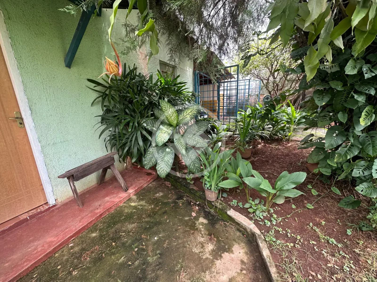 Terreno Setor Pedro Ludovico, Goiânia - GO — foto 2