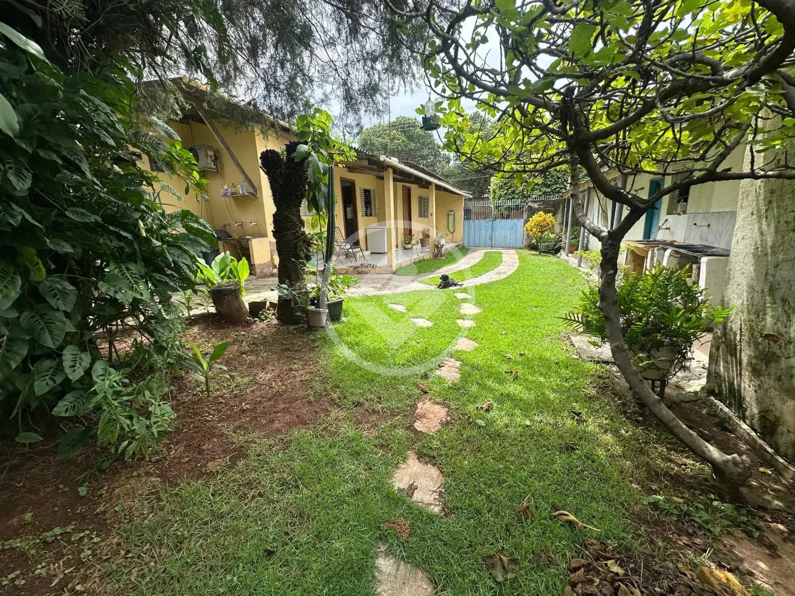 Terreno Setor Pedro Ludovico, Goiânia - GO — foto 1