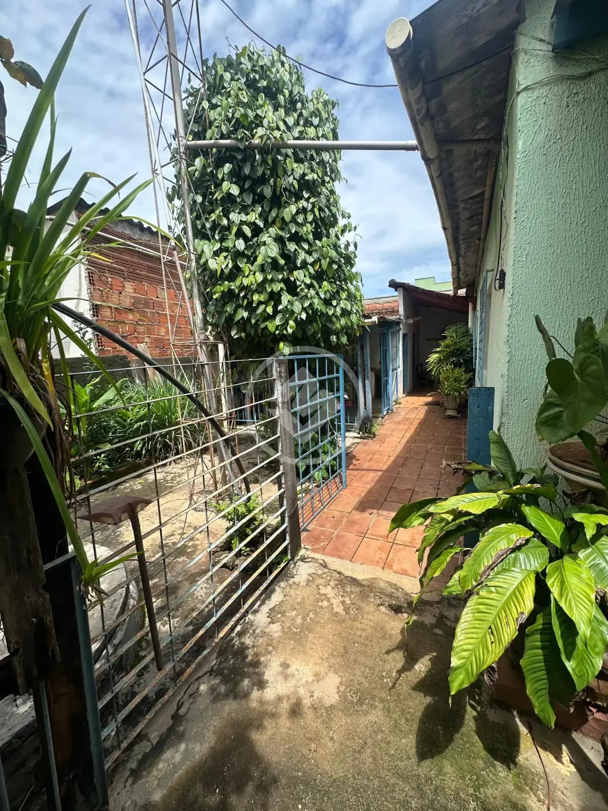 Terreno no Setor Pedro Ludovico, Goiânia — foto 4 de 6