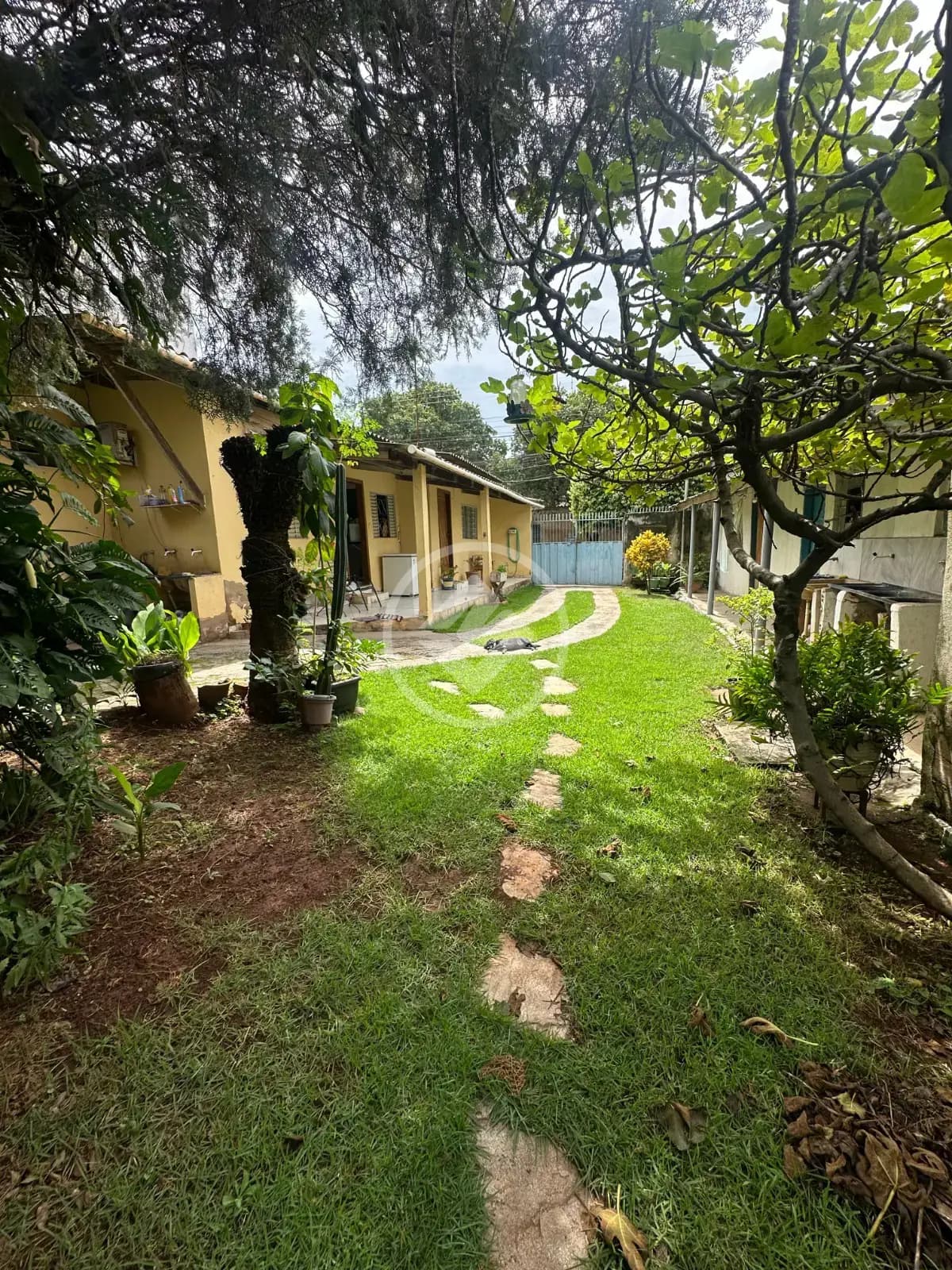 Terreno no Setor Pedro Ludovico, Goiânia — foto 5 de 6
