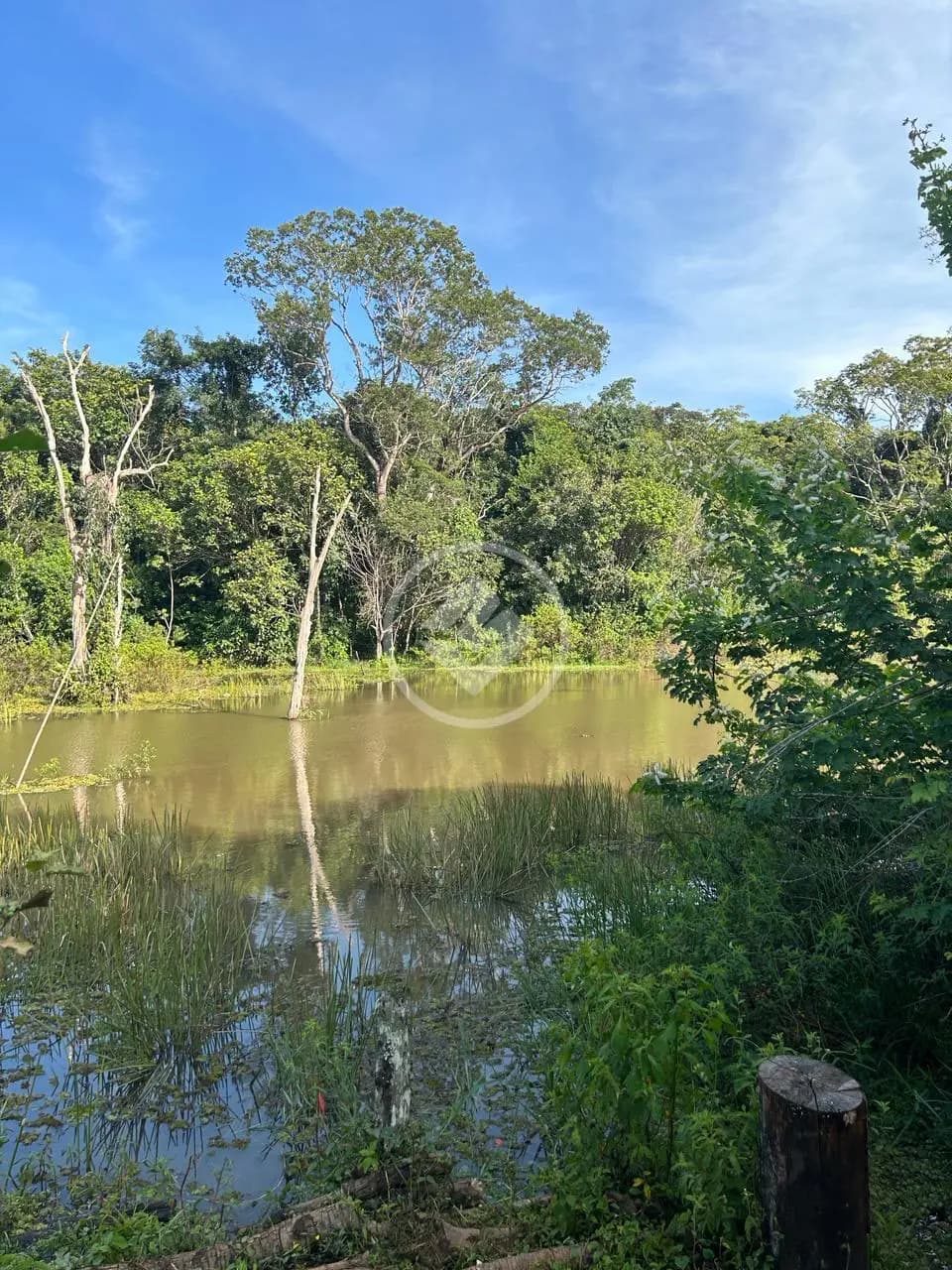 Terreno no Residencial Santa Efigênia, Goiânia — foto 4 de 6