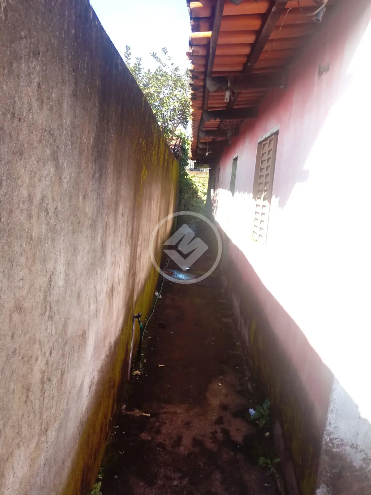 Casa 1 quarto no Residencial Vereda dos Buritis, Goiânia — foto 3 de 5