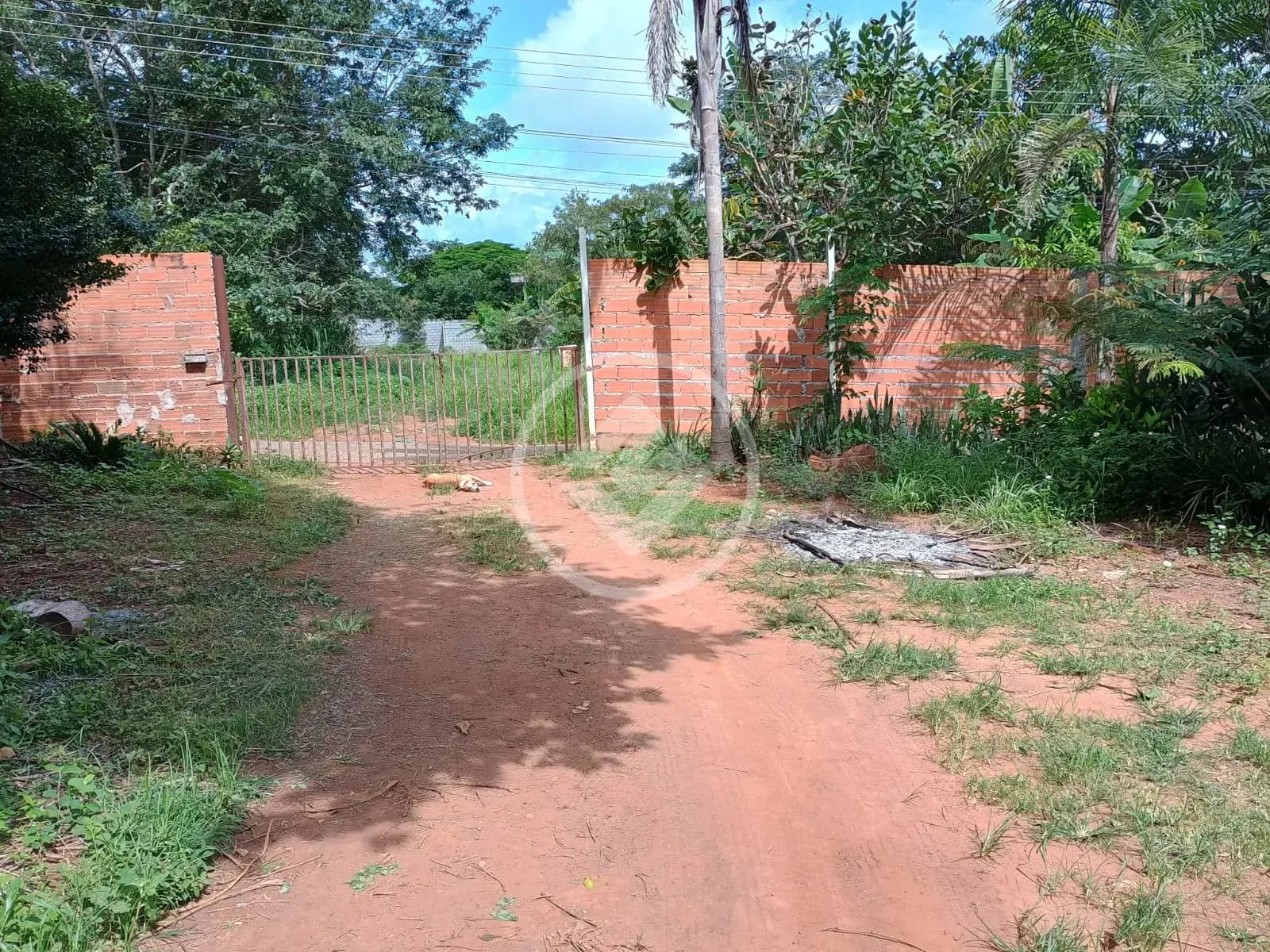 Casa 3 quartos no Chácaras de Recreio Samambaia, Goiânia — foto 5 de 6