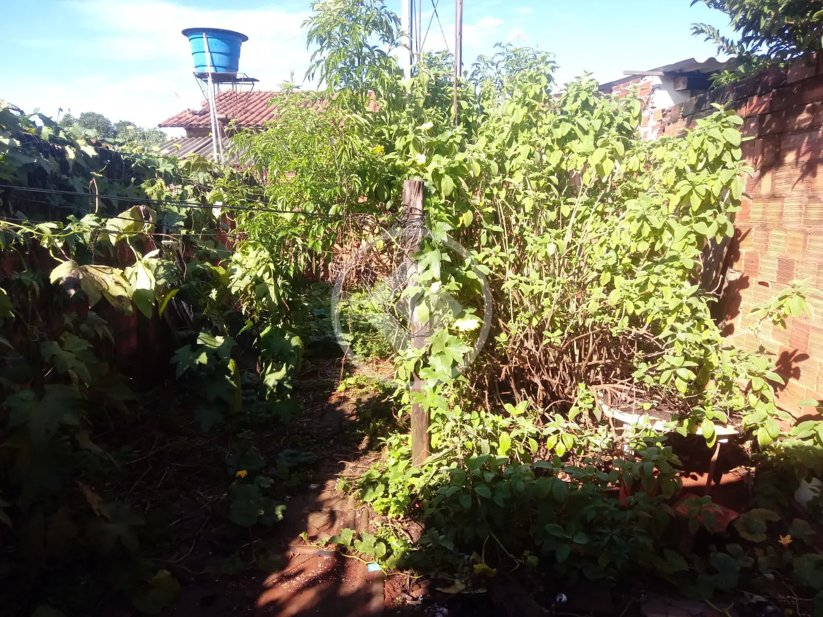 Casa 1 quarto no Residencial Vereda dos Buritis, Goiânia — foto 5 de 5