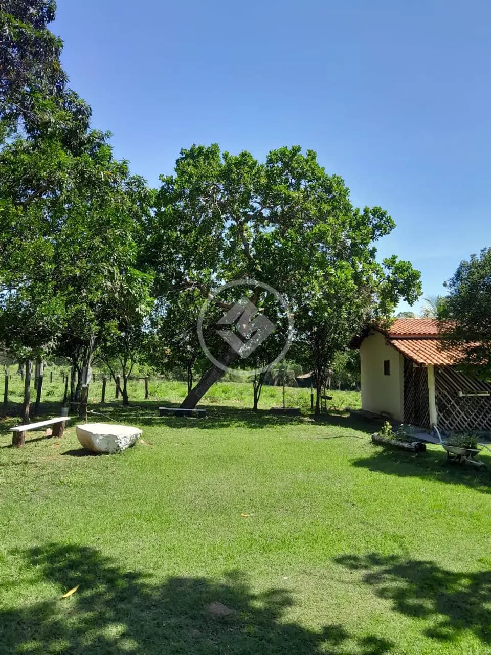 Fazenda no Olhos D Agua, Cáceres — foto 3 de 6