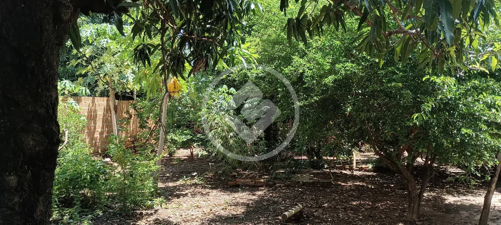 Casa 3 quartos no Jardim Padre Paulo, Cáceres — foto 6 de 6