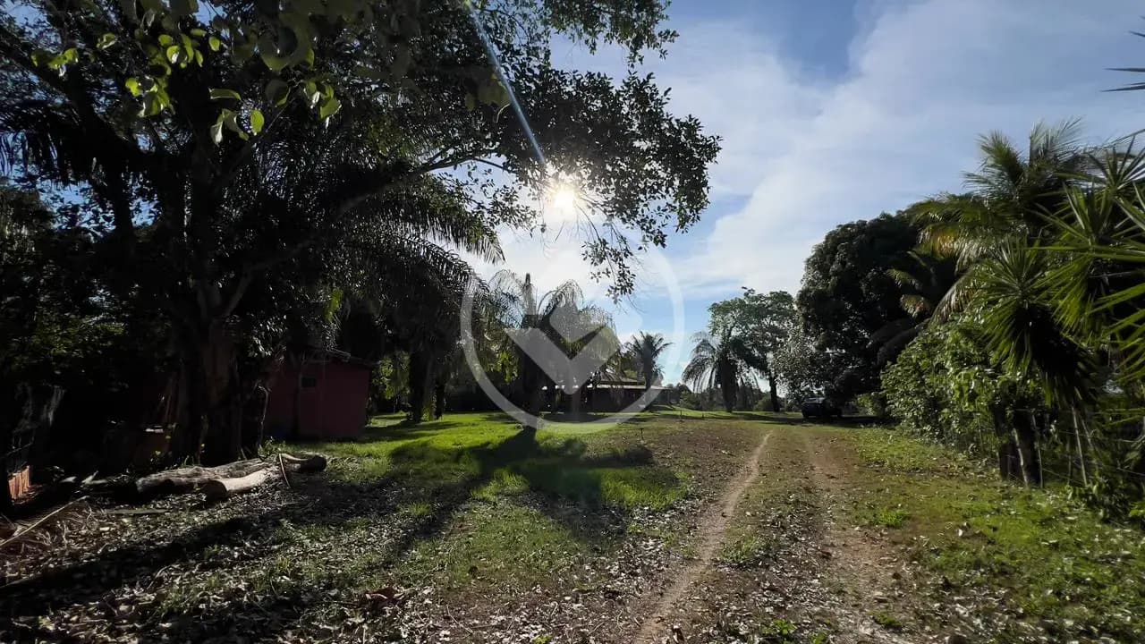 ✨ Um verdadeiro paraíso às margens do Rio Paraguai! ✨