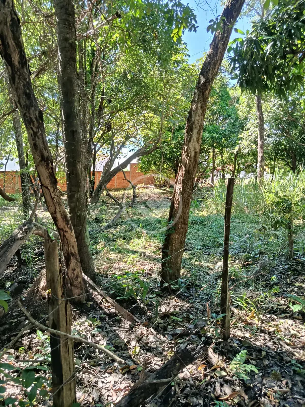 Terreno no Cavalhada II, Cáceres — foto 4 de 6