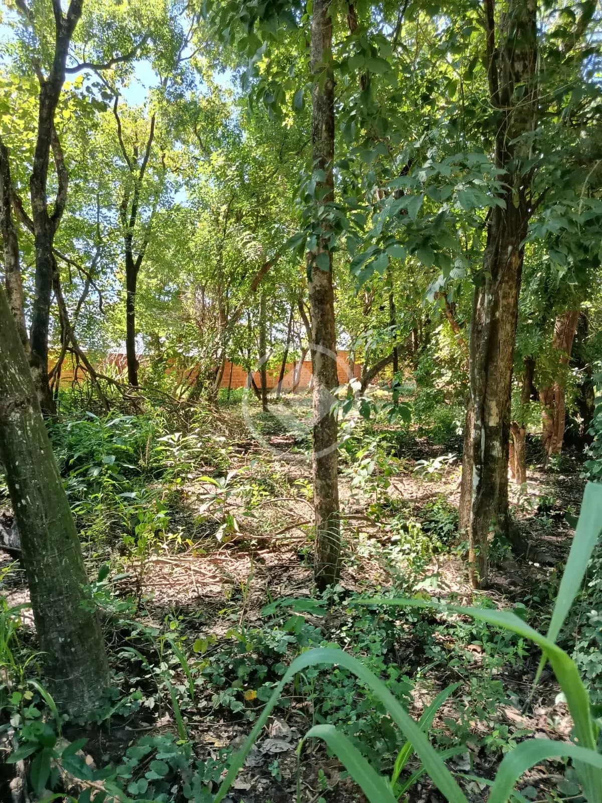Terreno no Cavalhada II, Cáceres — foto 6 de 6
