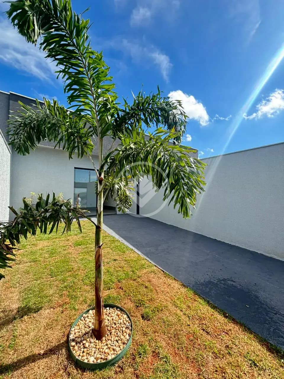 Casa 2 quartos no Setor Maysa Extensão, Goiânia — foto 4 de 6