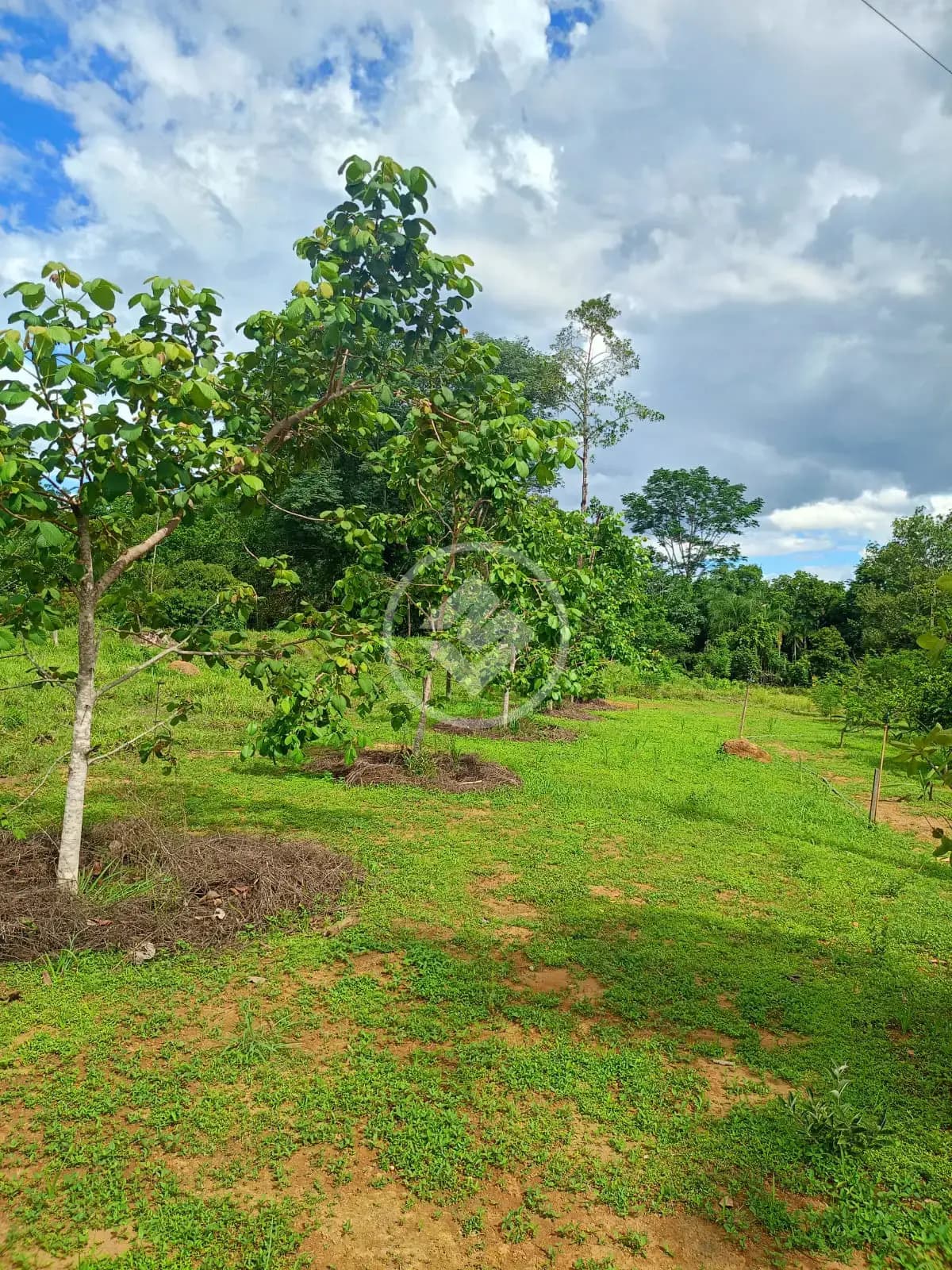 Chácara 2 quartos no Zona Rural, Bela Vista de Goiás — foto 6 de 6
