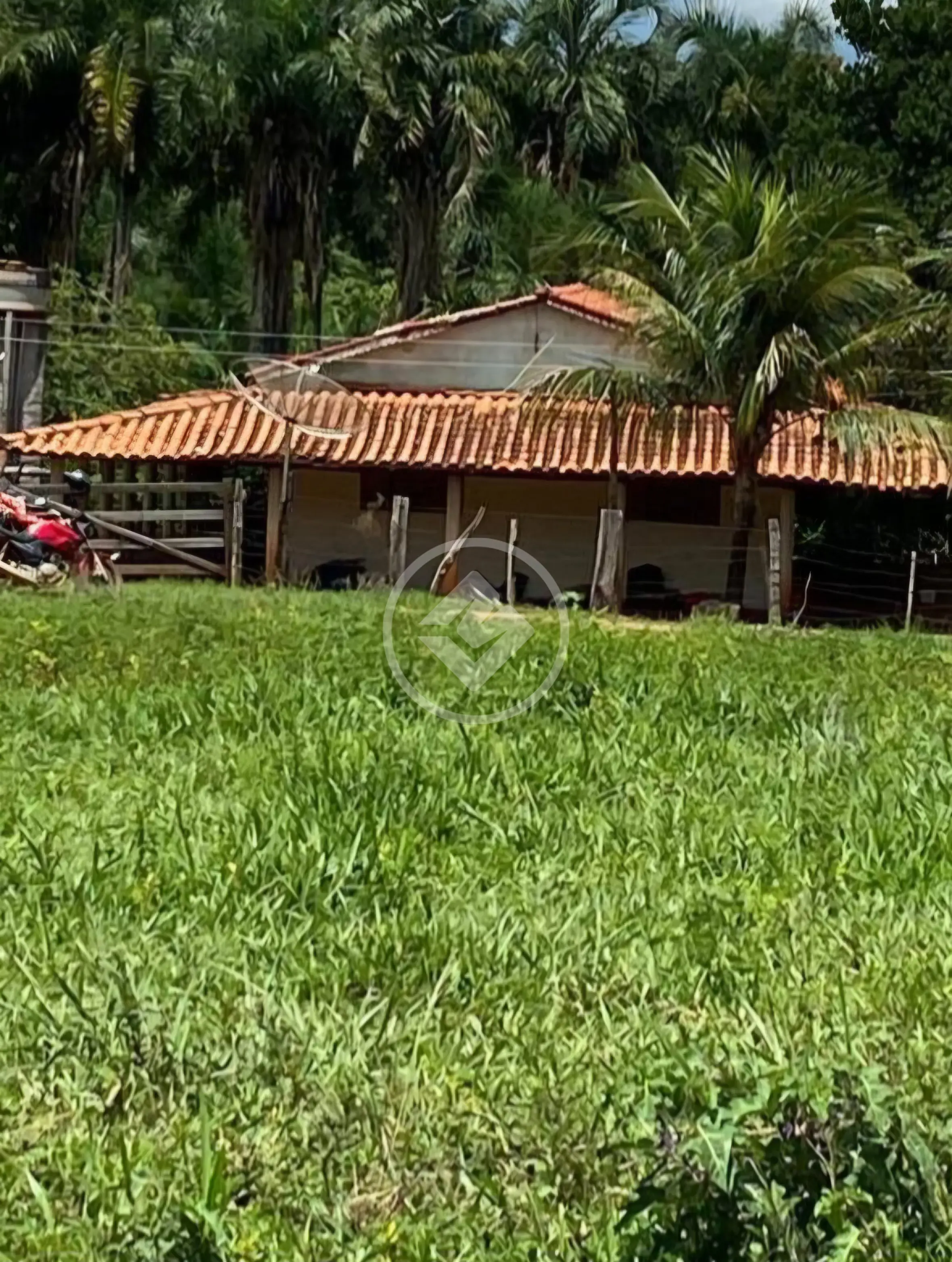 Fazenda Fazenda Nova, Fazenda Nova - GO — foto 2