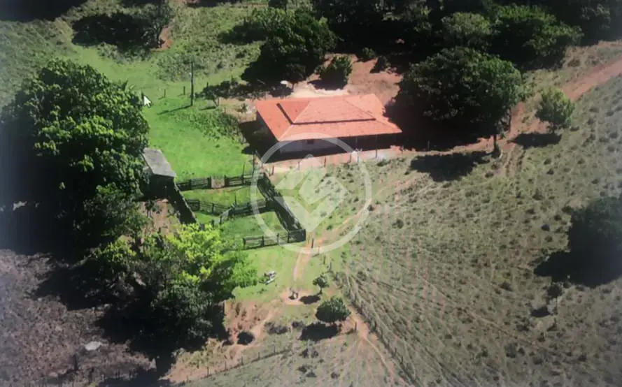 Fazenda Serra Dourada, Fazenda Nova - GO — foto 1