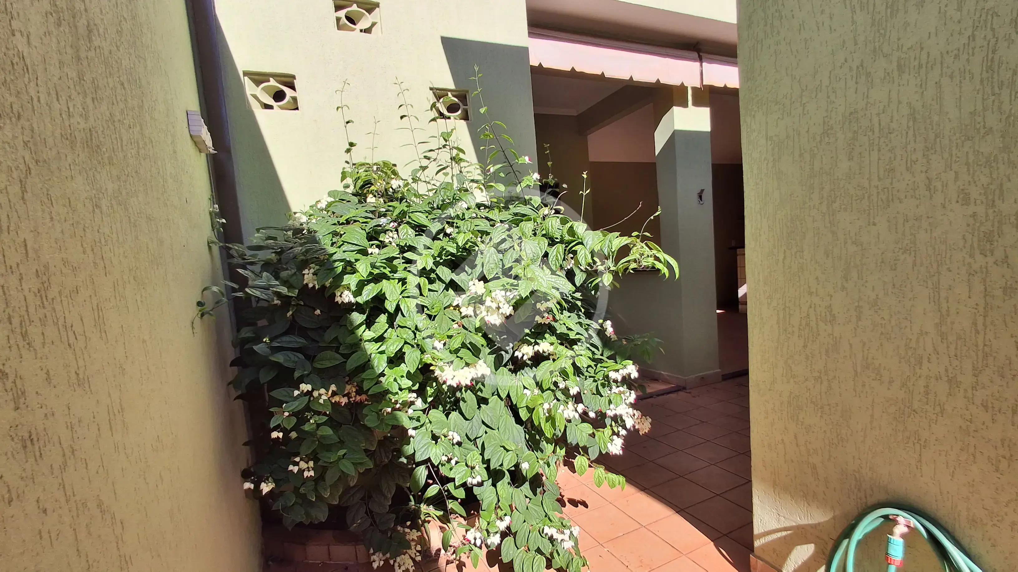 Casa 4 quartos no Jardim California, Ribeirão Preto — foto 6 de 6