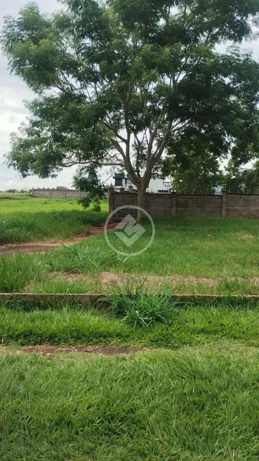 Terreno Comercial no Recreio das Acacias, Ribeirão Preto — foto 3 de 6