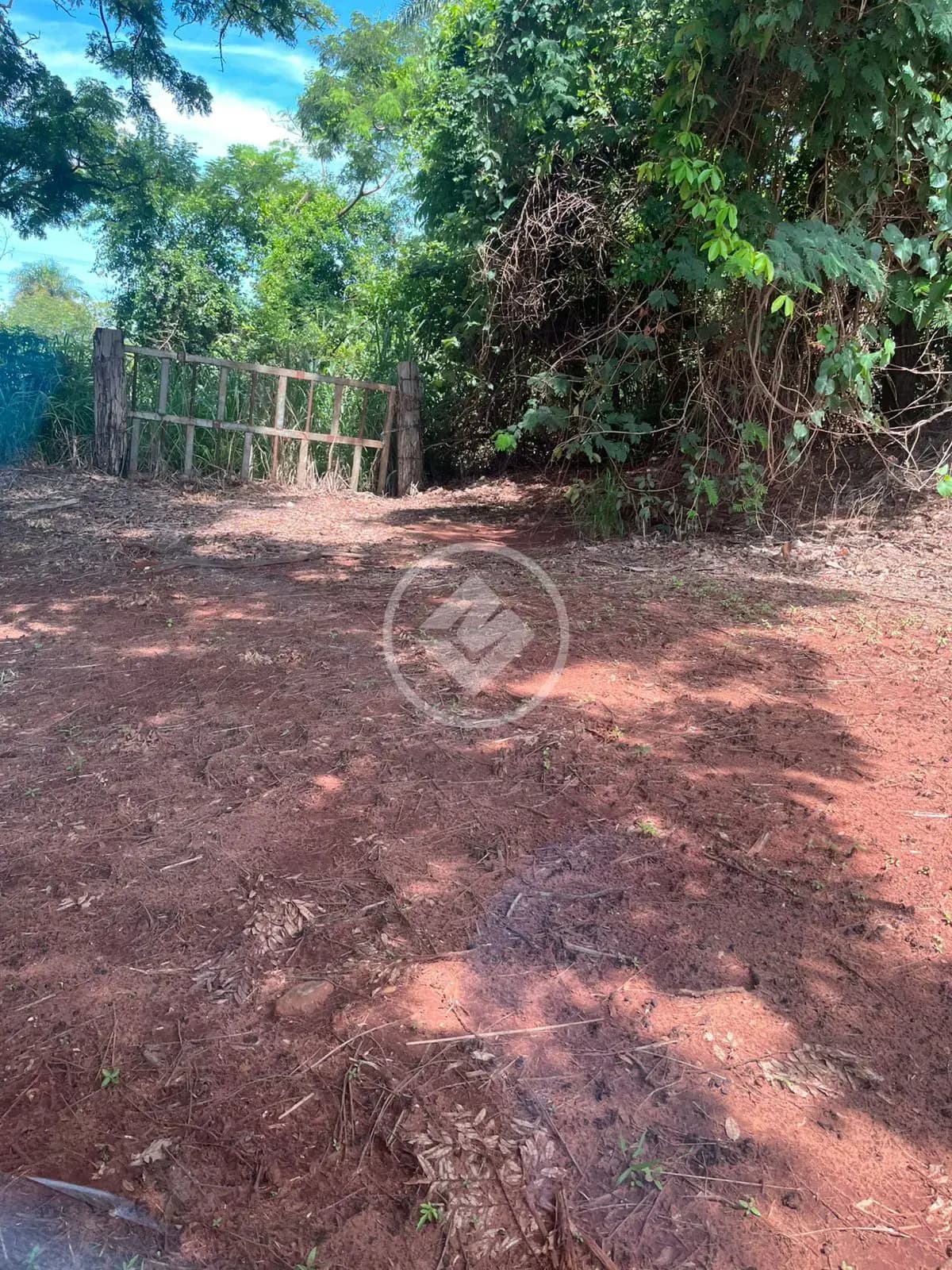 Fazenda no Centro, Jardinópolis — foto 3 de 4