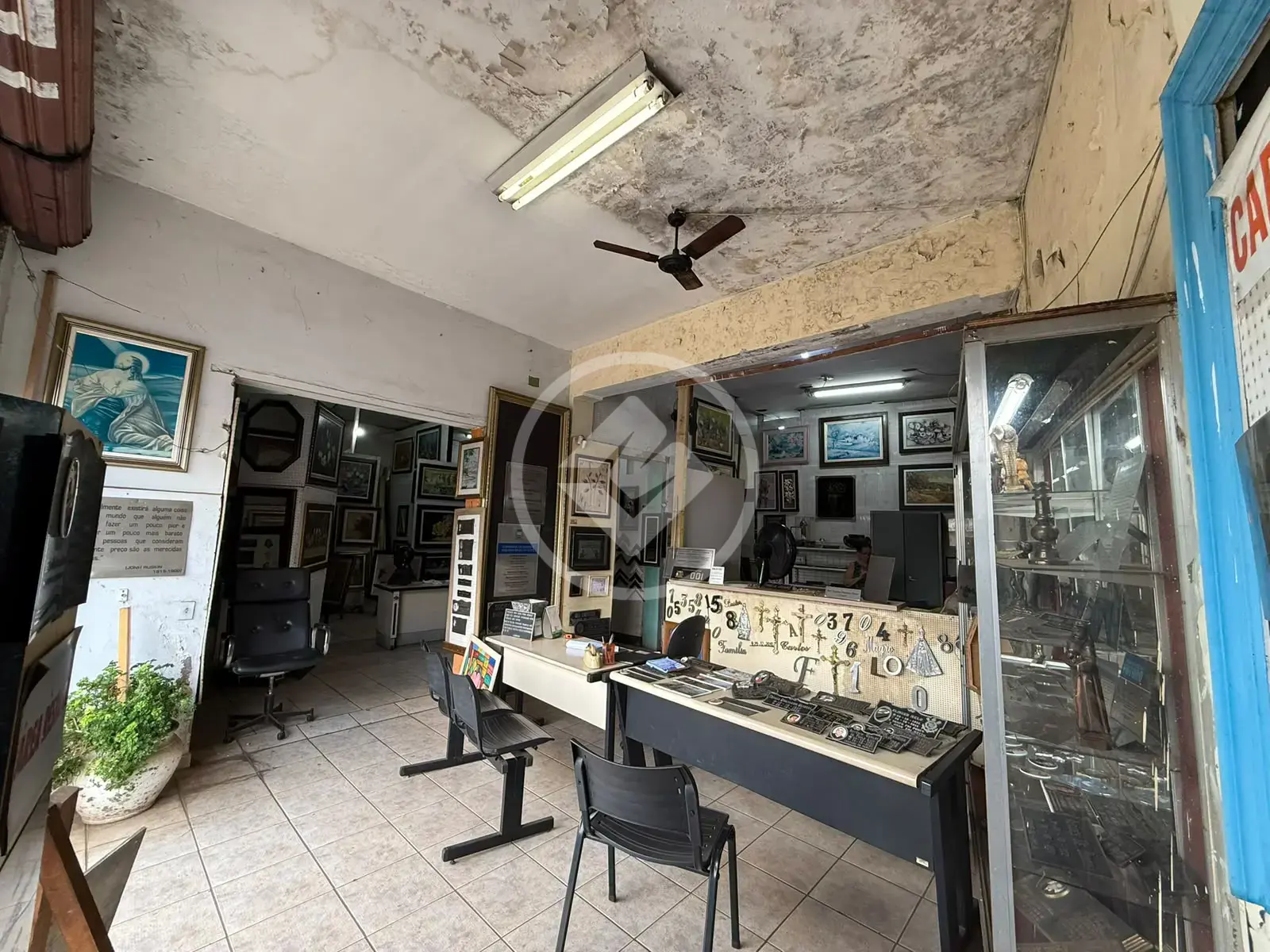 Galpão Campos Elíseos, Ribeirão Preto - SP — foto 2