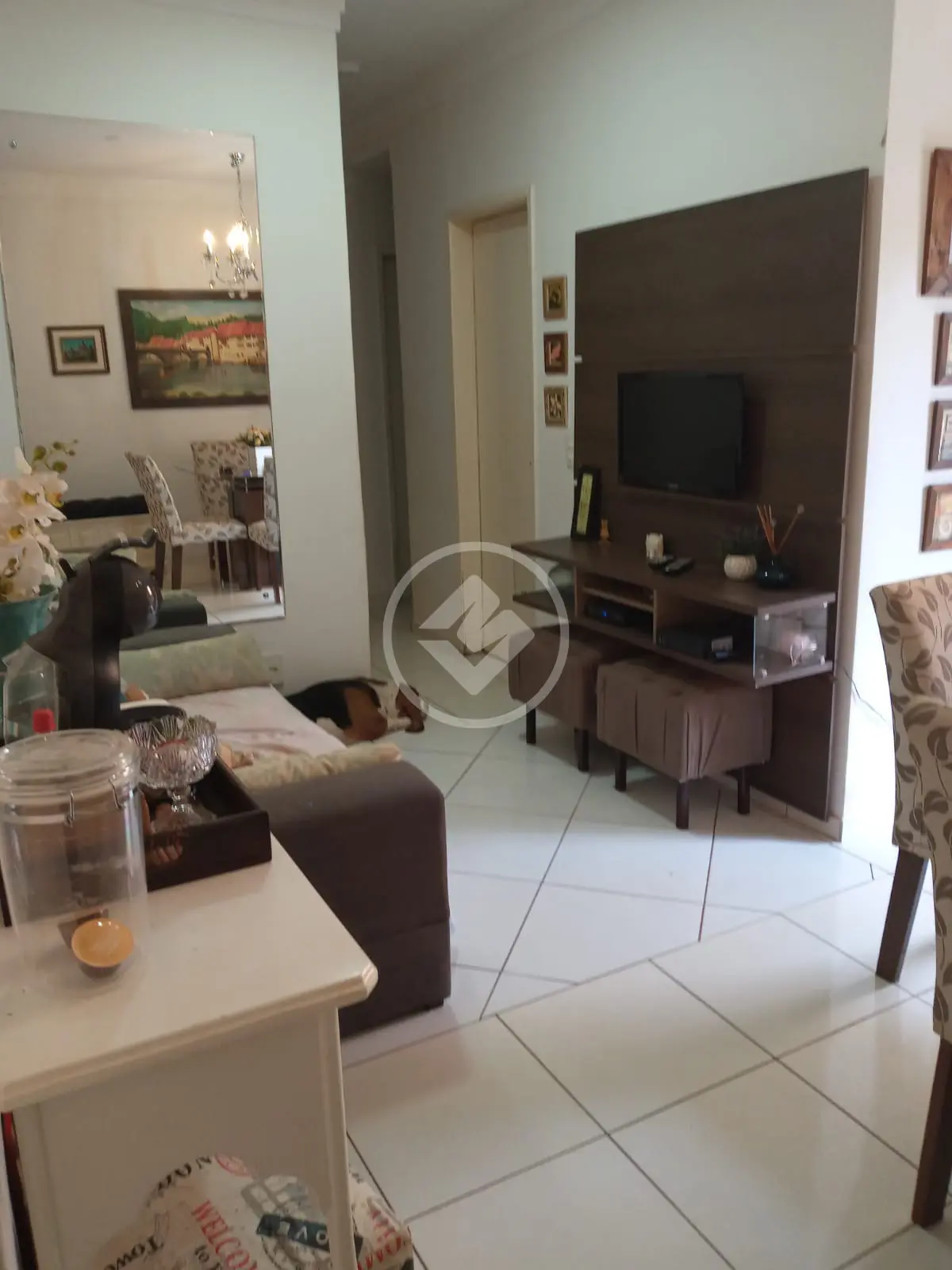 Apartamento Jardim Palma Travassos, Ribeirão Preto - SP — foto 1