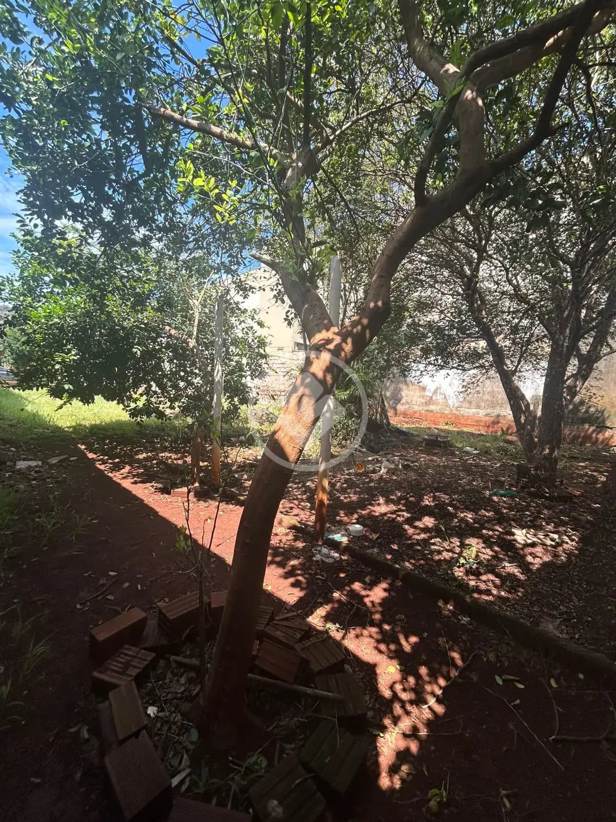 Terreno Jardim Irajá, Ribeirão Preto - SP — foto 2