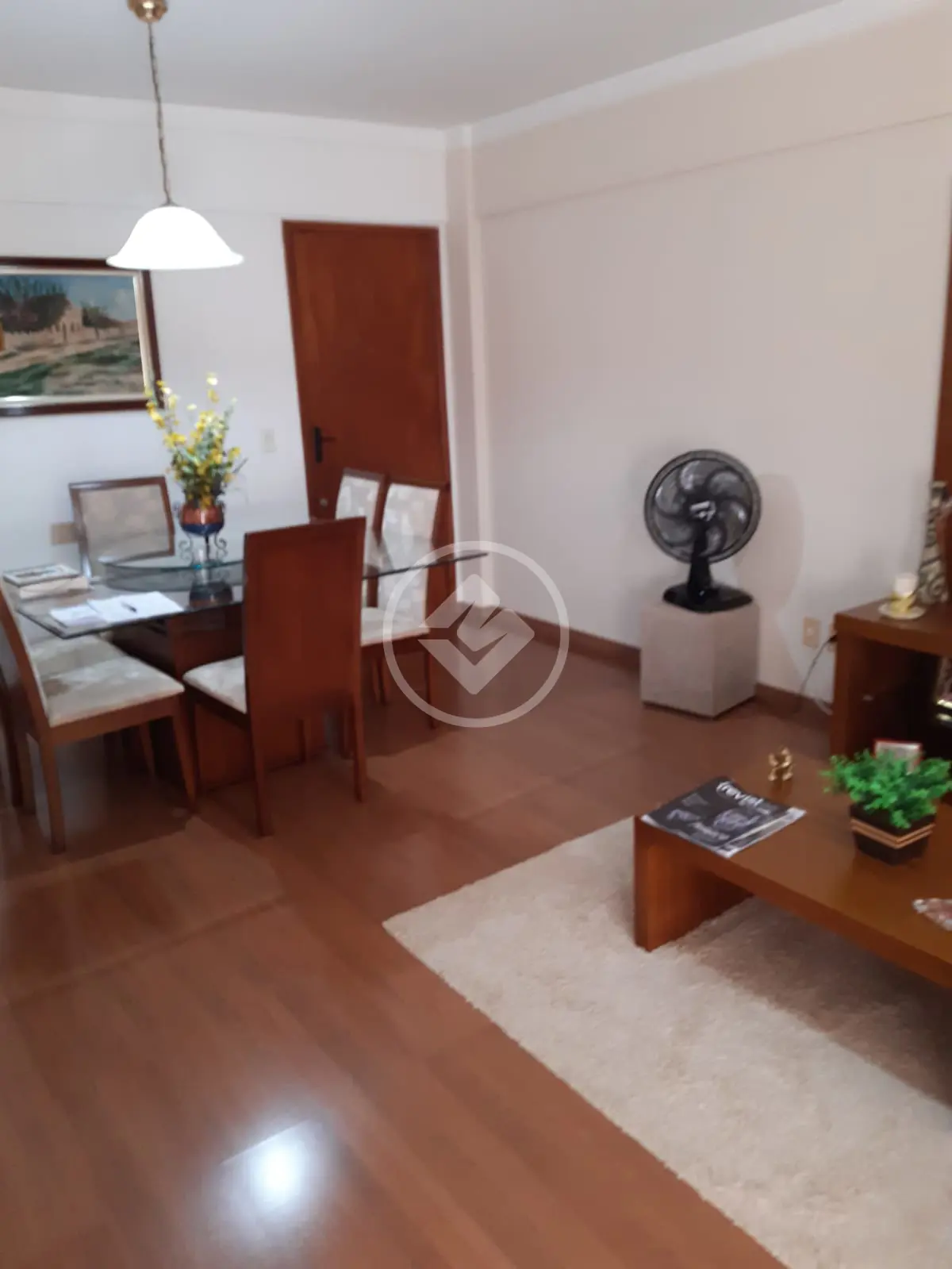 Apartamento Vila Sinibaldi, São José do Rio Preto - SP — foto 2