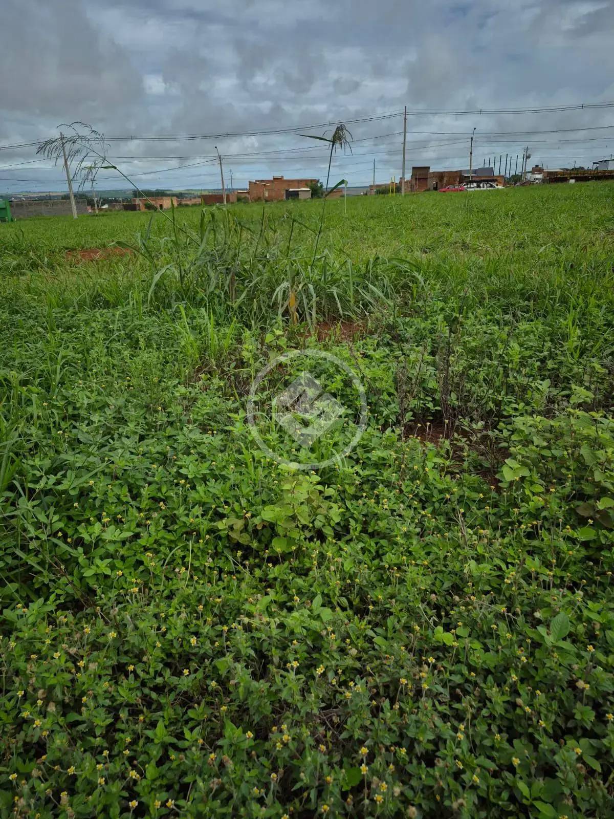 Terreno / ÁGIO Recanto das Emas