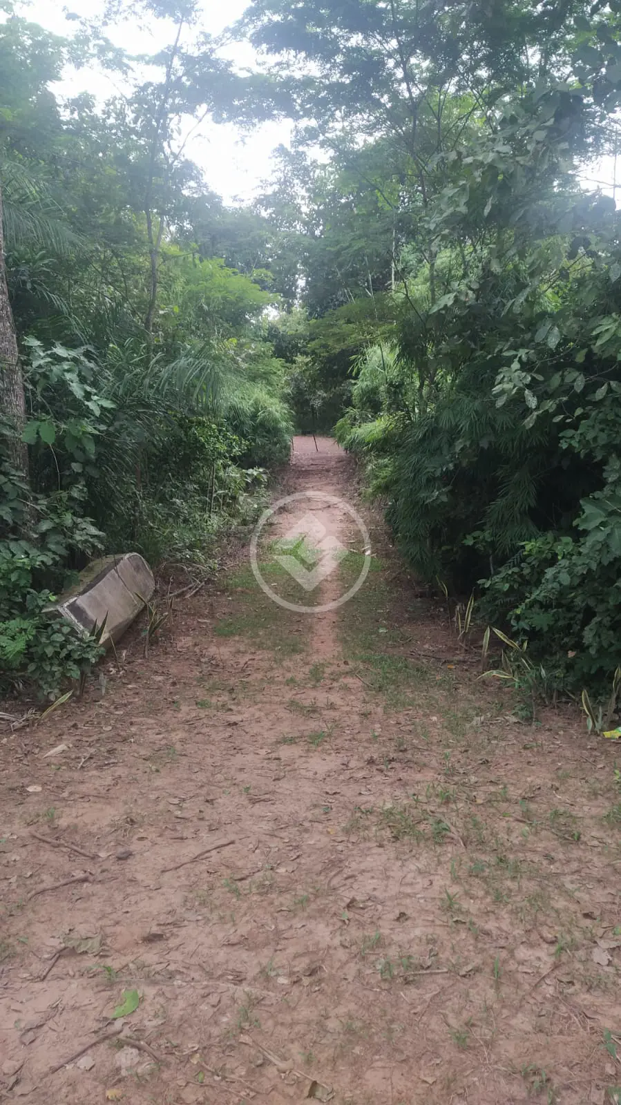 Chácara no Zona Rural, Rondonópolis — foto 4 de 6