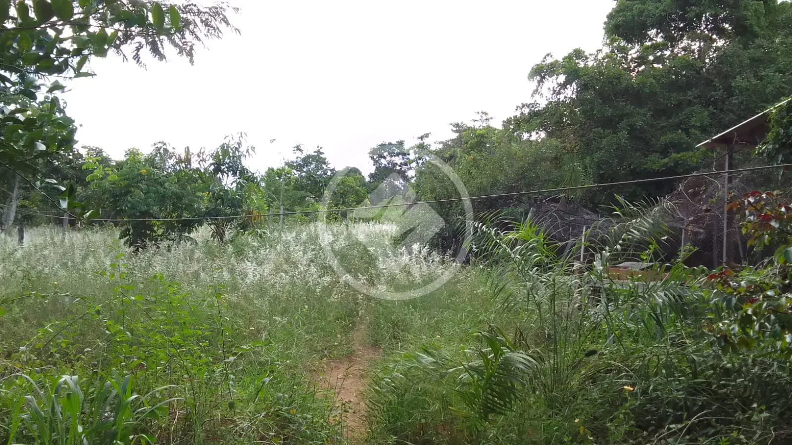 Chácara no Área Rural de Rondonópolis, Rondonópolis — foto 6 de 6