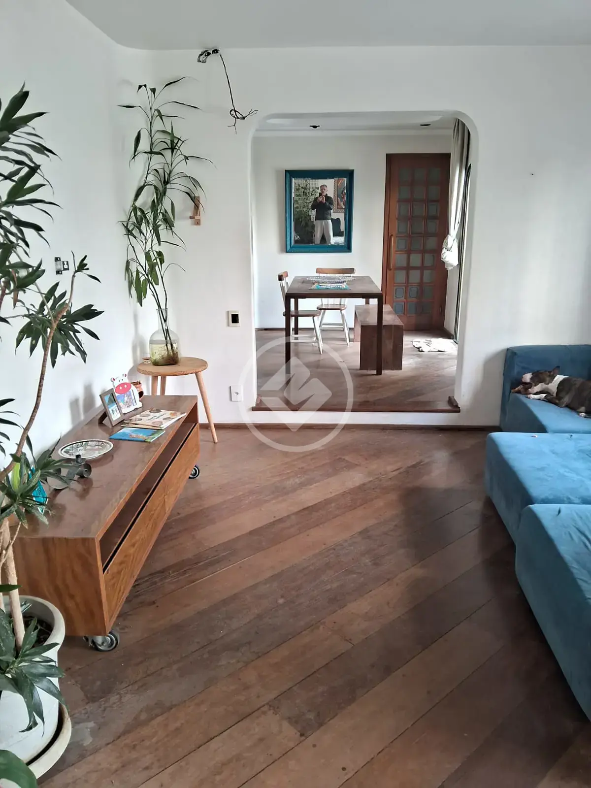 Apartamento 4 quartos no Planalto Paulista, São Paulo — foto 5 de 6