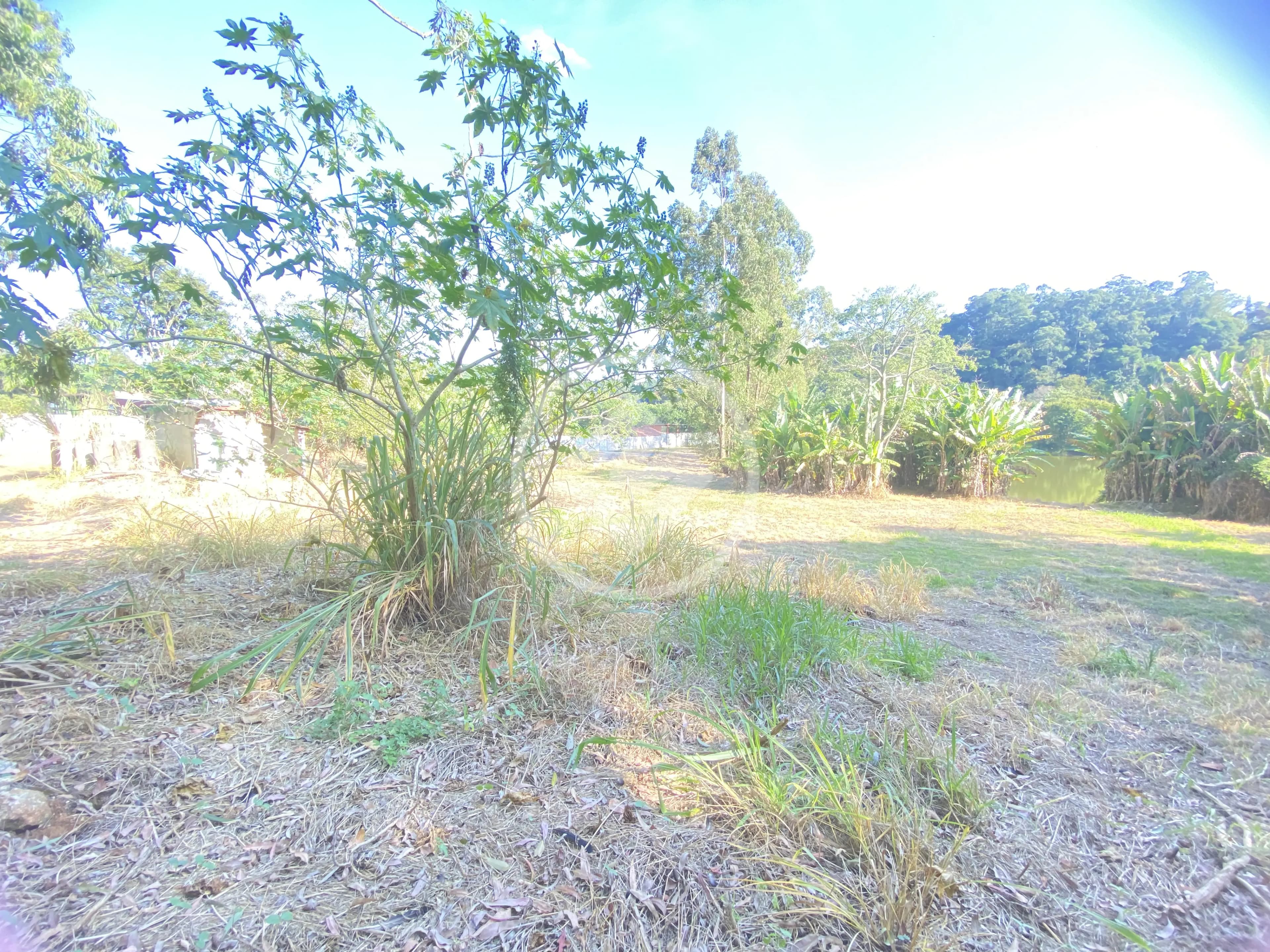 Terreno no Parque Dom Henrique, Cotia — foto 6 de 6