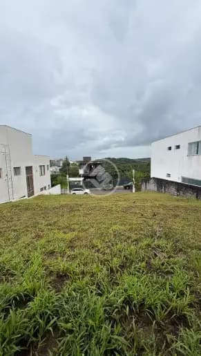 LOTE ALPHAVILLE LN2