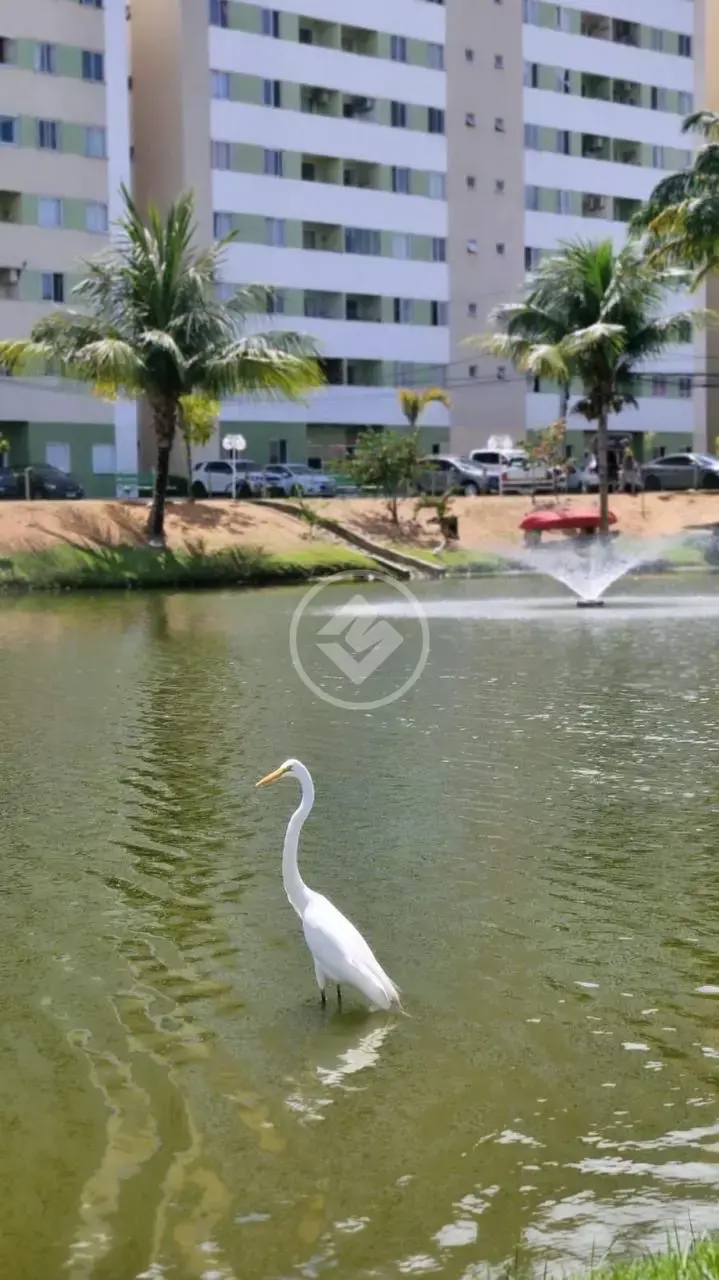 Apartamento 2 quartos no Centro, Lauro de Freitas — foto 6 de 6