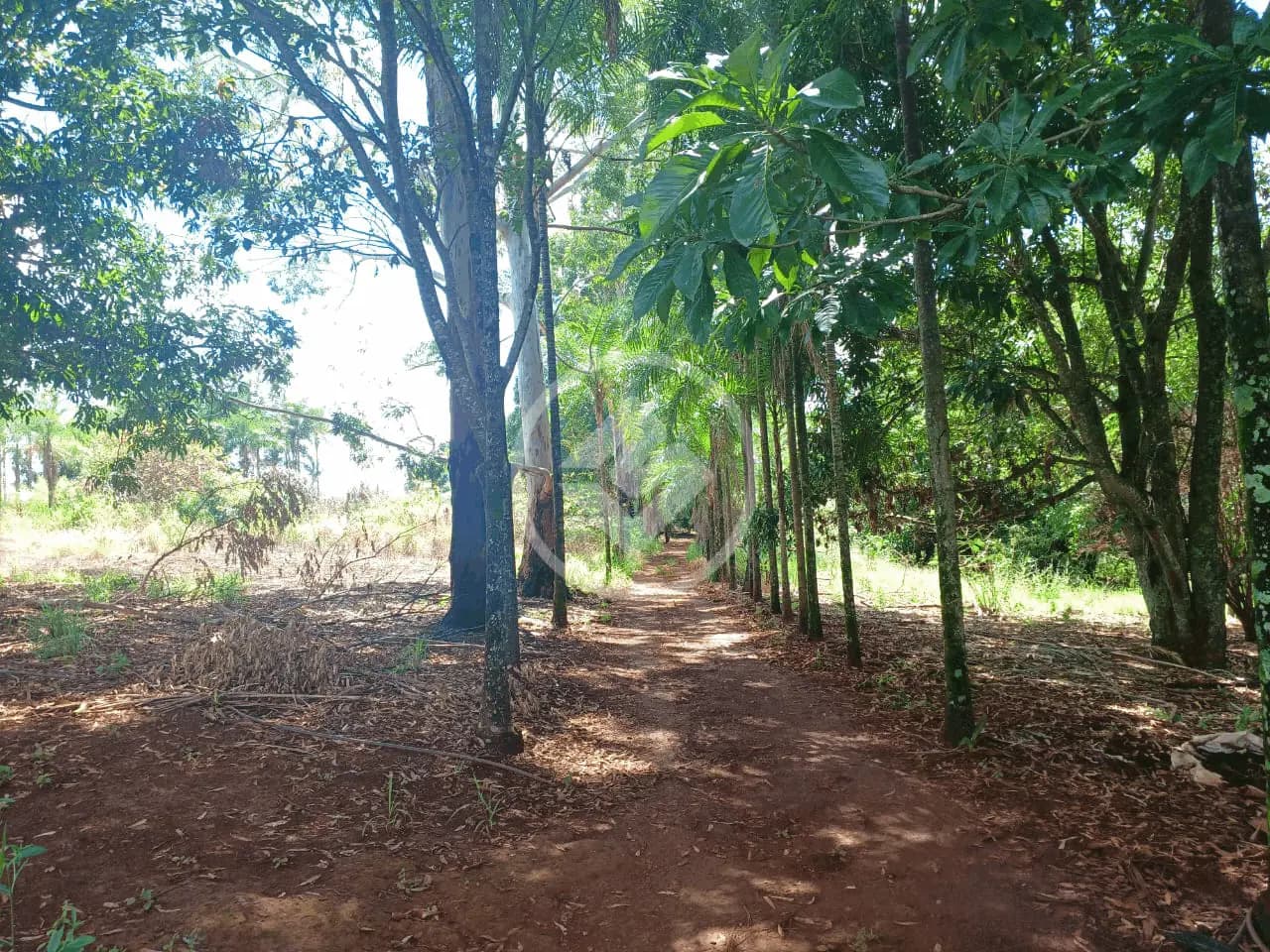 Sítio no Área Rural de Uberlândia, Uberlândia — foto 3 de 6