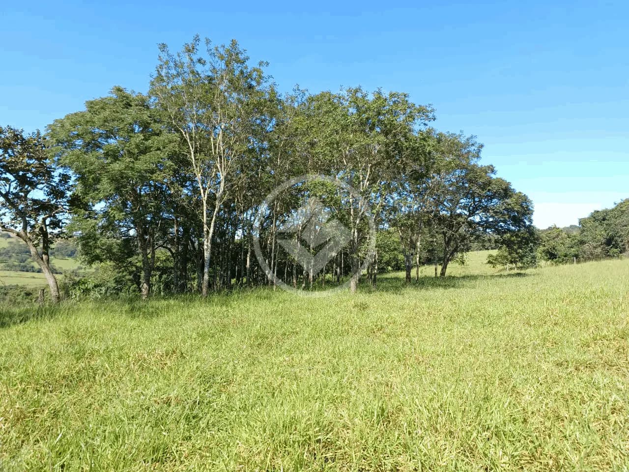 Sítio no Área Rural de Uberlândia, Uberlândia — foto 6 de 6