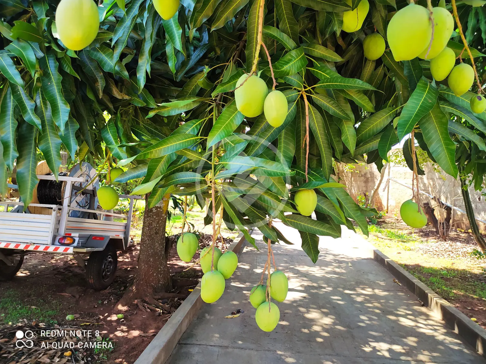 Chácara no Morada Nova, Uberlândia — foto 4 de 6