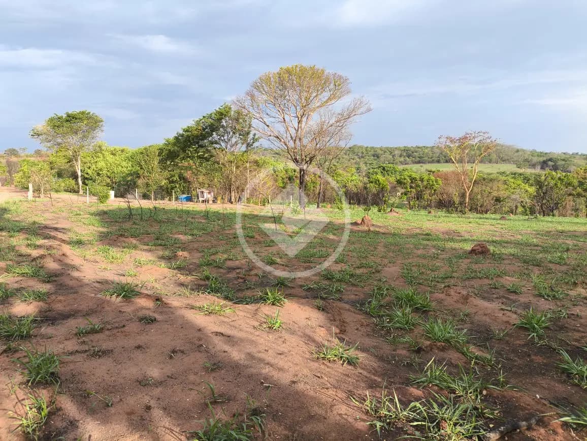 Chácara no Área Rural de Uberlândia, Uberlândia — foto 5 de 6