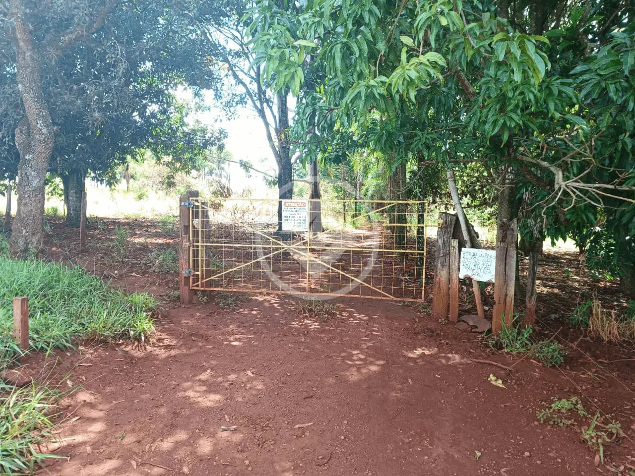 Sítio no Área Rural de Uberlândia, Uberlândia — foto 4 de 6