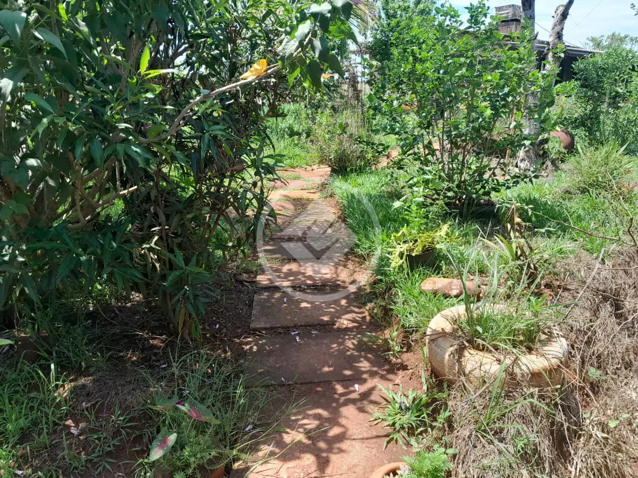 Sítio no Área Rural de Uberlândia, Uberlândia — foto 6 de 6