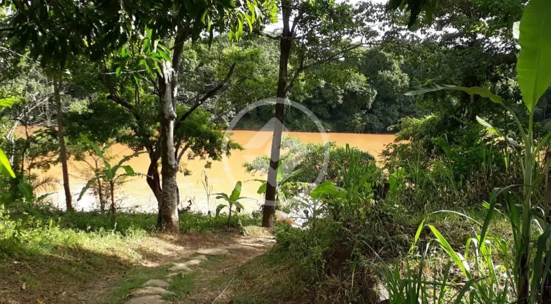 Fazenda Zona rural, São Gonçalo do Abaeté - MG — foto 2