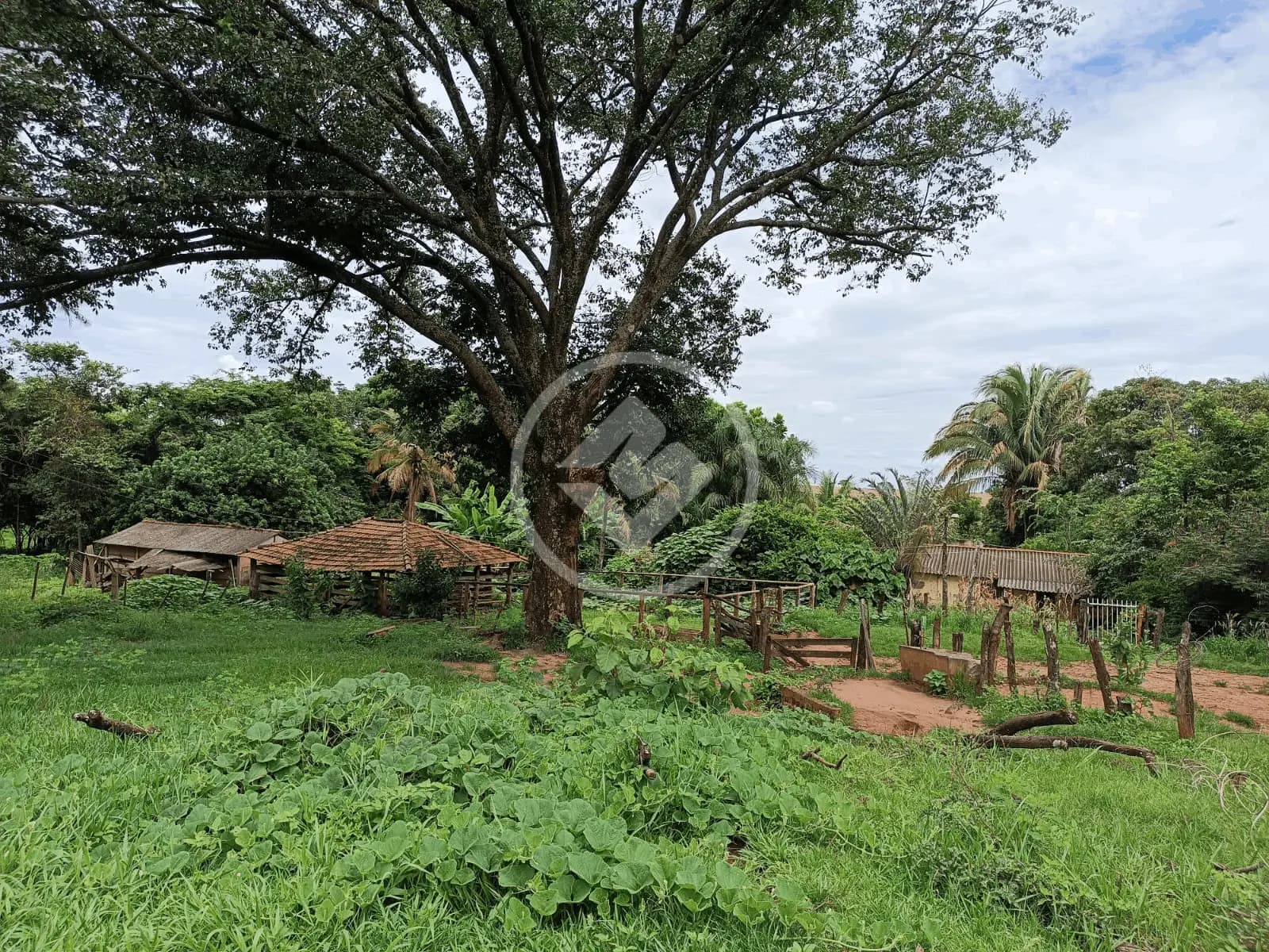 Sítio no Zona Rural, Monte Alegre de Minas — foto 5 de 6